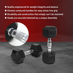 20LB Rubber Coated Cast Iron Dumbbells (Pair)