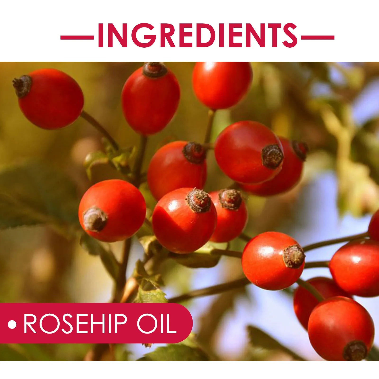 EELHOE Rosehip Nourishing Facial Oil