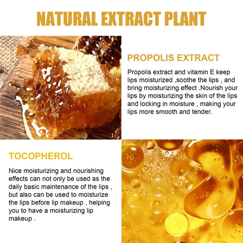 Honey Moisturizing Lip Mask